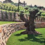 aménagement jardin, pierre olivier et gazon