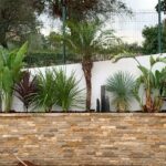 Jardinière exotique BC Constructions Villas