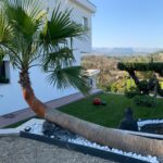 Jardin moderne BC Constructions Villas
